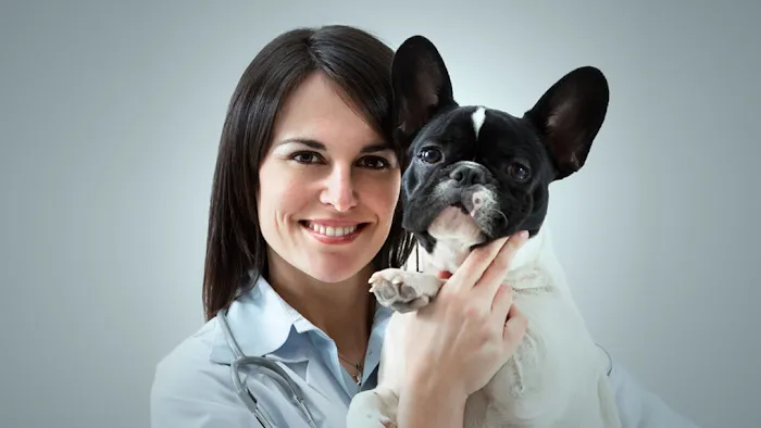 Little Egg Veterinarian Picture 2