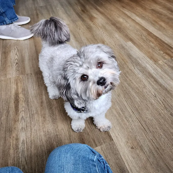 Seaport Veterinary Center Picture 6