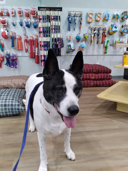 Seaport Veterinary Center Picture 8
