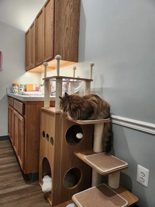 Seaport Veterinary Center Picture 4