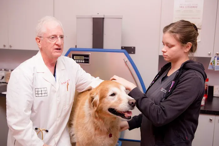 Bay Street Animal Hospital Picture 5