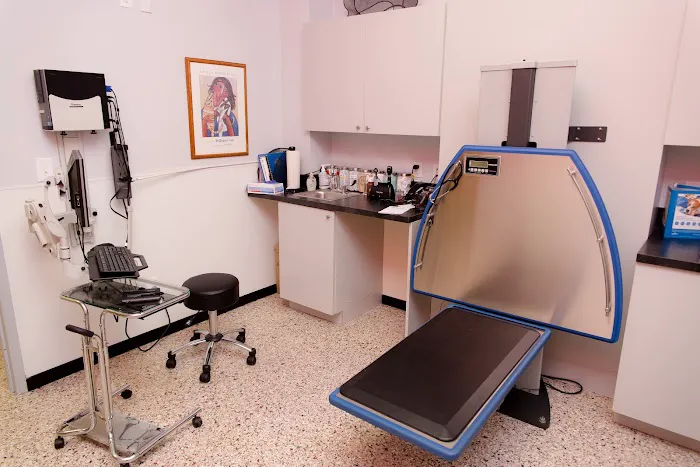 Bay Street Animal Hospital Picture 3