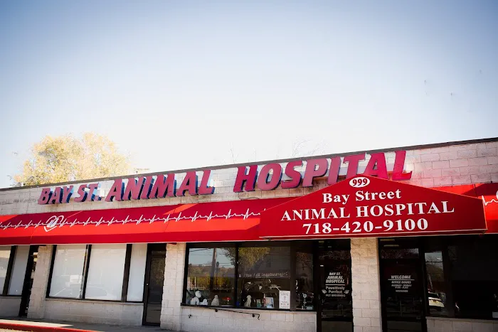 Bay Street Animal Hospital Picture 4