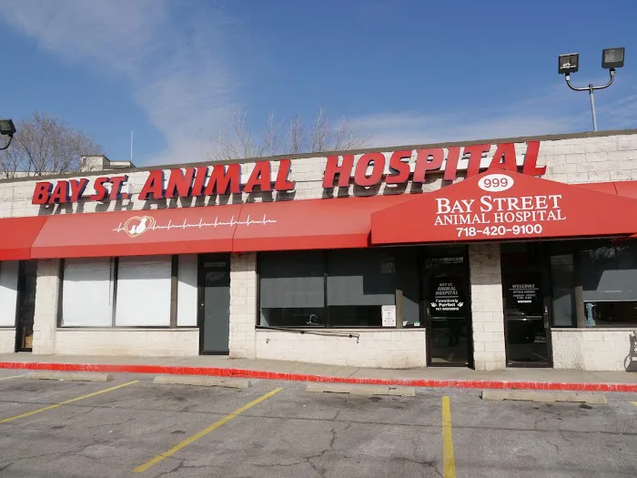 Bay Street Animal Hospital Picture 2