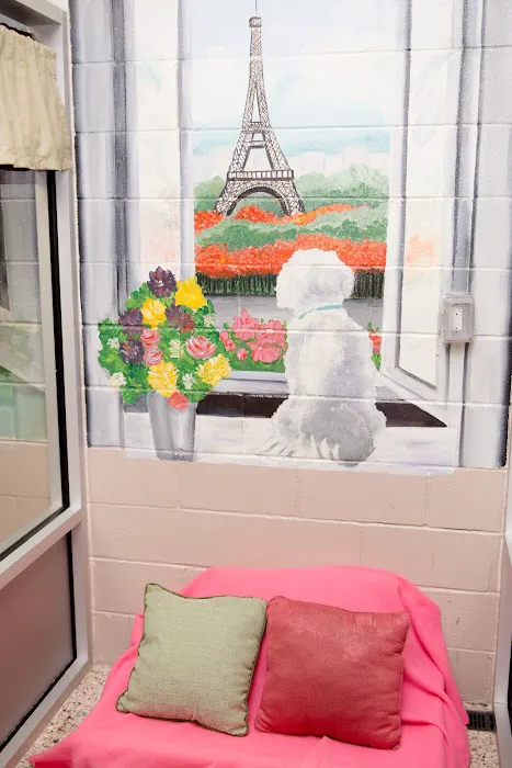 Bay Street Animal Hospital Picture 8