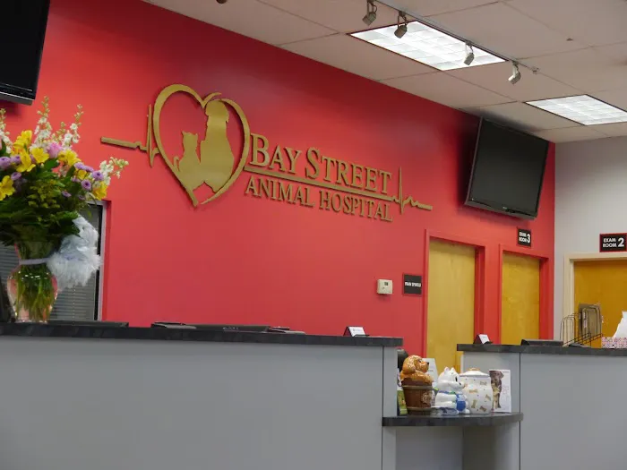 Bay Street Animal Hospital Picture 10