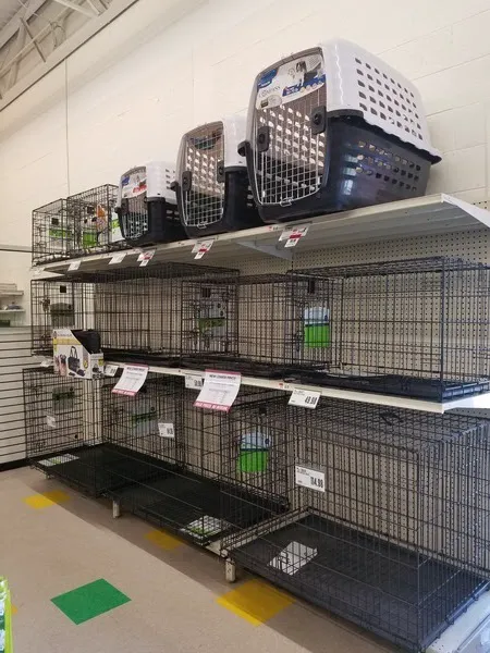 Pet Supplies Plus Mount Morris Picture 10