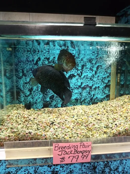 Somethin's Fishy Pet Shop Inc Picture 4