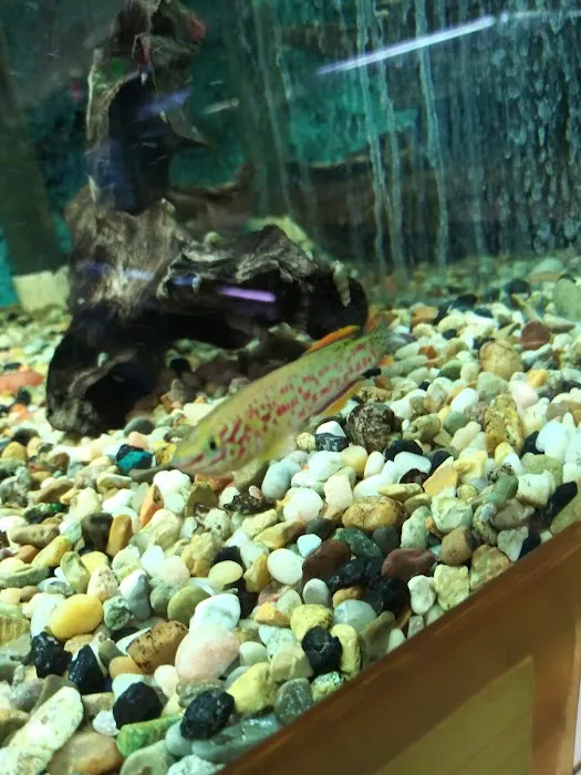 Somethin's Fishy Pet Shop Inc Picture 1