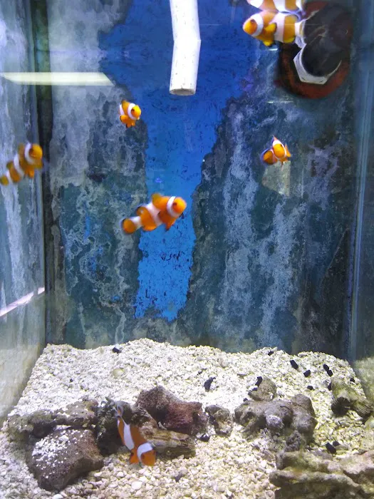 Somethin's Fishy Pet Shop Inc Picture 3