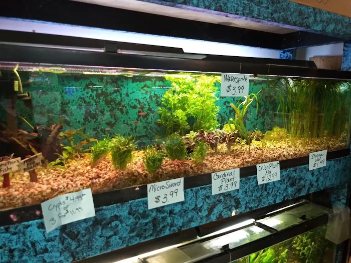 Somethin's Fishy Pet Shop Inc Picture 2