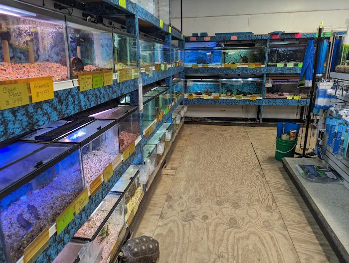 Somethin's Fishy Pet Shop Inc Picture 6