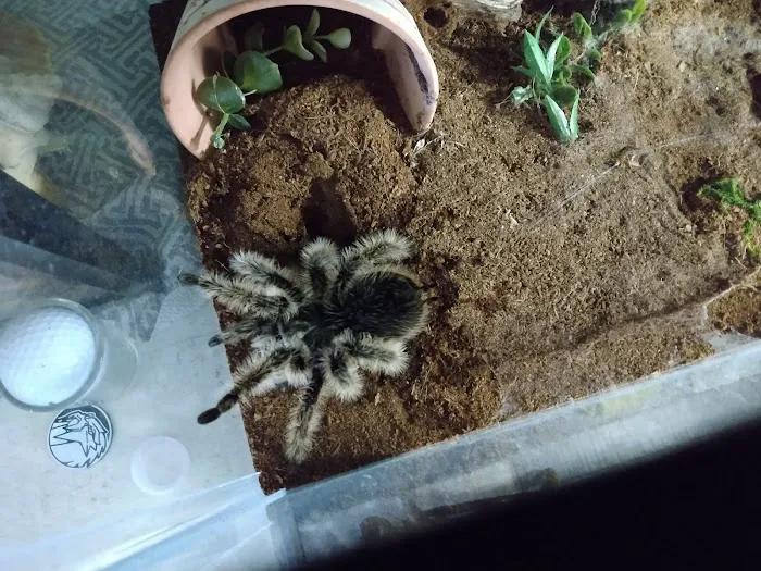 Dotty's Feed and Pet Picture 10