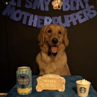 Doodle Doo Bakery ico