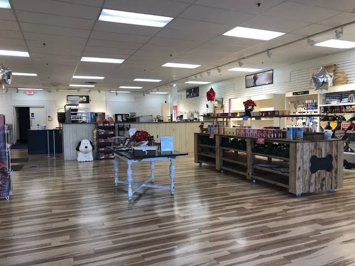 Doodle Doo Bakery Picture 3