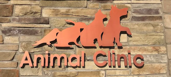 Animal Clinic of Bayonne Picture 8