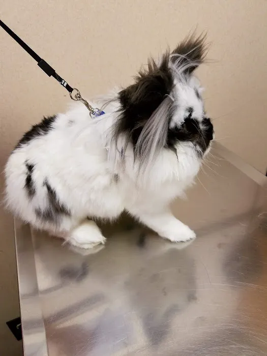 Animal Clinic of Bayonne Picture 7