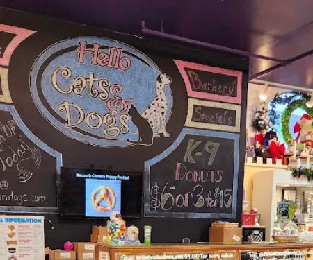 Hello Cats & Dogs