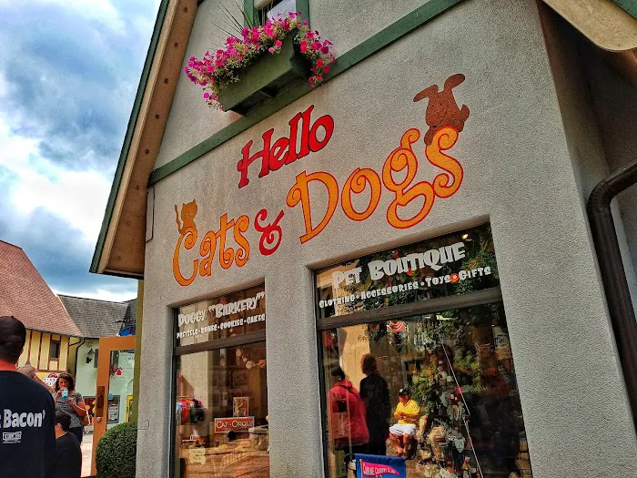 Hello Cats & Dogs Picture 3