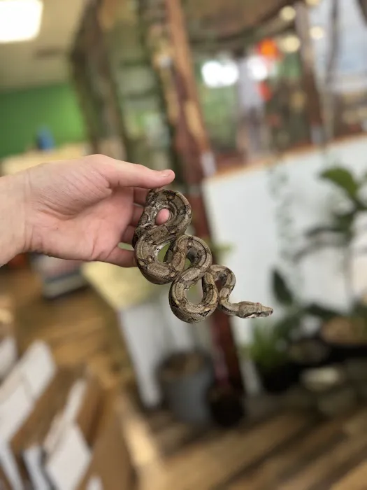 Custom Creatures Pet Shop Picture 2