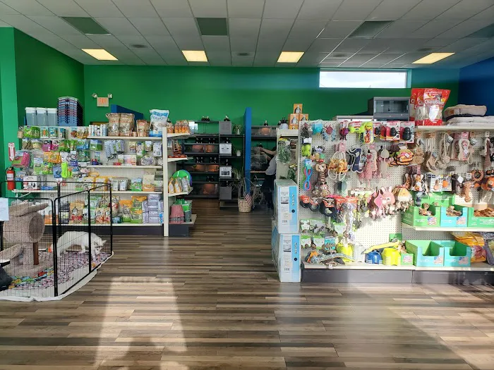Custom Creatures Pet Shop Picture 1