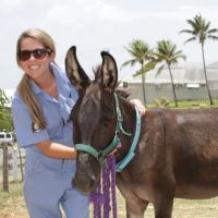 Bayonne Animal Hospital ico