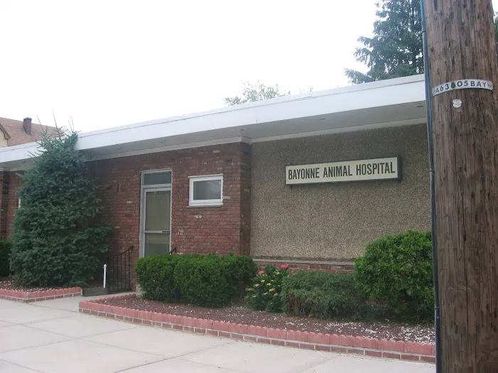 Bayonne Animal Hospital Picture 5