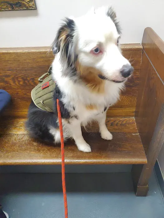 One Love Animal Hospital Bay Ridge Picture 3