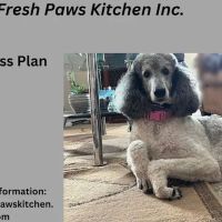 Fresh Paws Kitchen Inc. ico