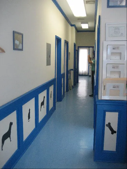 Healthy Pets Veterinary Services Picture 1