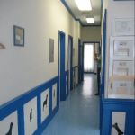 Healthy Pets Veterinary Services