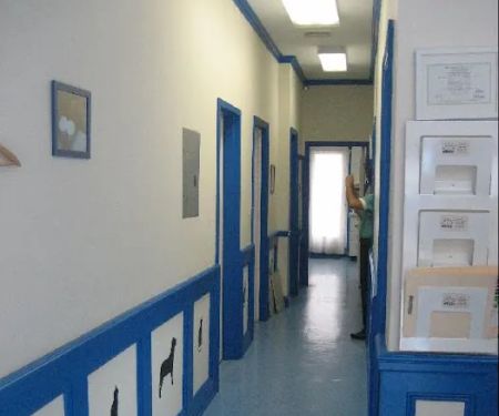 Healthy Pets Veterinary Services