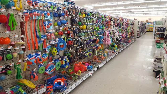 Pet Supplies Plus Bay City Picture 2
