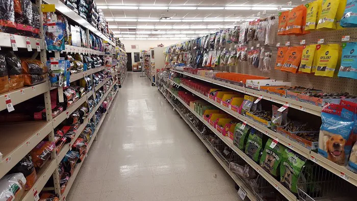 Pet Supplies Plus Bay City Picture 3