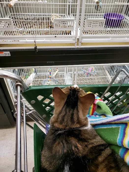 Pet Supplies Plus Bay City Picture 6