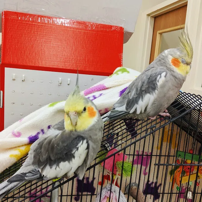 Pet Supplies Plus Bay City Picture 9