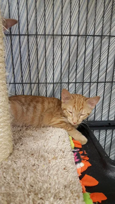 Pet Supplies Plus Bay City Picture 8