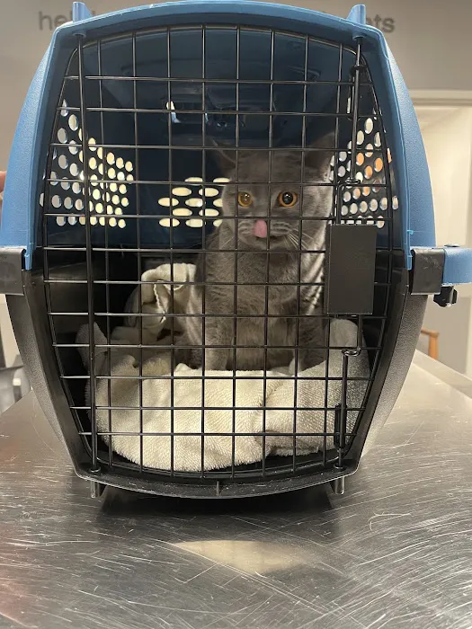 Fifth Avenue Veterinary Hospital Picture 9