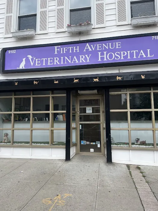 Fifth Avenue Veterinary Hospital Picture 4