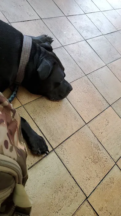 Fifth Avenue Veterinary Hospital Picture 7