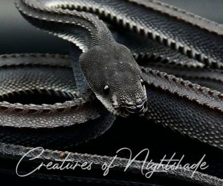Creatures of Nightshade