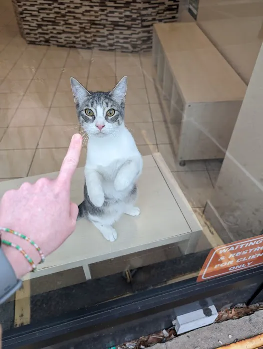 Loving Paws Animal Hospital Picture 10