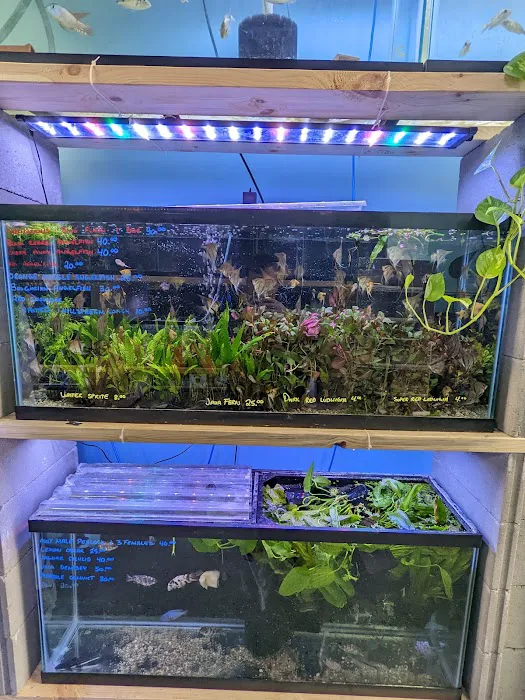 Chris's Pet Store Picture 5