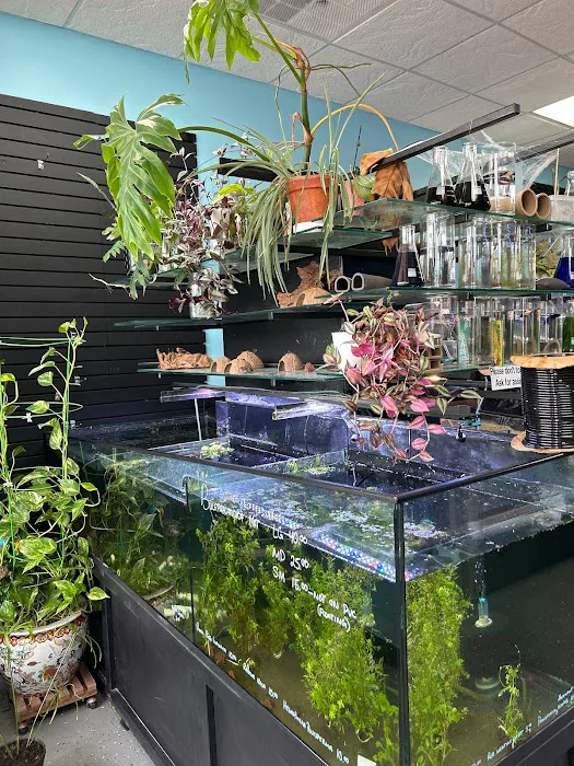 Chris's Pet Store Picture 1
