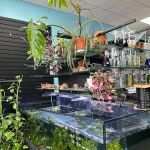 Chris's Pet Store