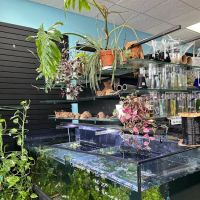 Chris's Pet Store ico