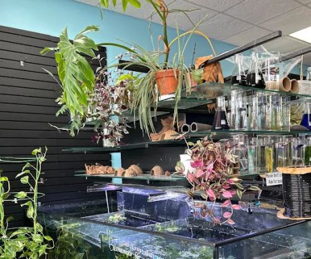 Chris's Pet Store