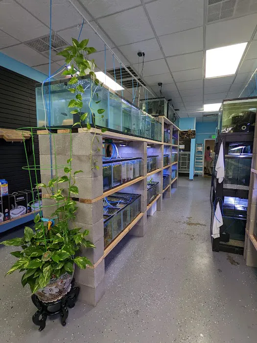 Chris's Pet Store Picture 2