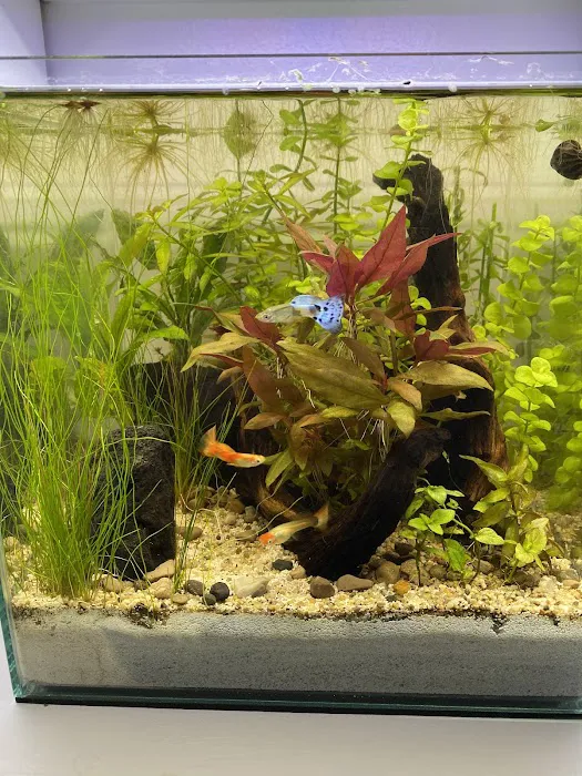 Chris's Pet Store Picture 6