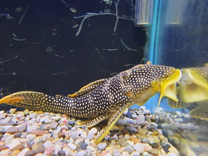 Chris's Pet Store Picture 4